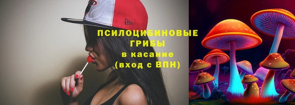 прущая мука Гусь-Хрустальный