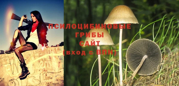a pvp Вязники