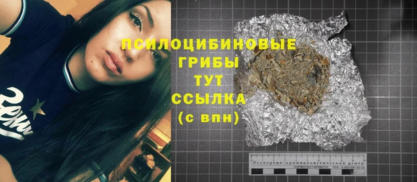 spice Касимов
