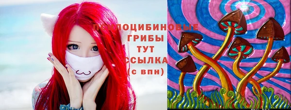 гидра Тайга