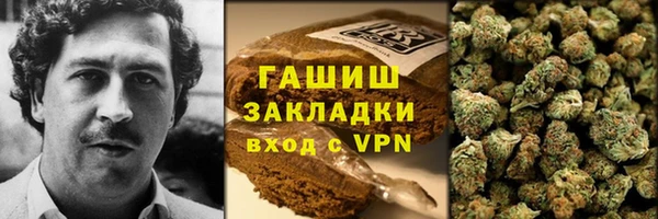 индика Тавда