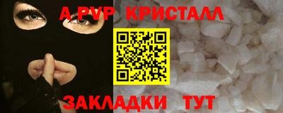скорость Кингисепп