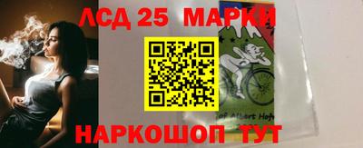 скорость Кингисепп