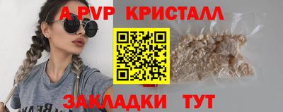скорость Кингисепп