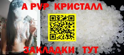 скорость Кингисепп