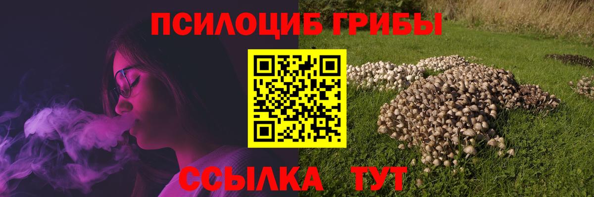 Галлюциногенные грибы Psilocybine cubensis  Галлюциногенные грибы MAGIC MUSHROOMS  Волхов  Вход с VPN 