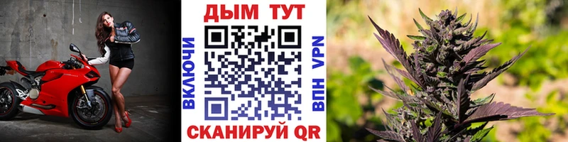 Конопля индика  как найти закладки  Волхов 