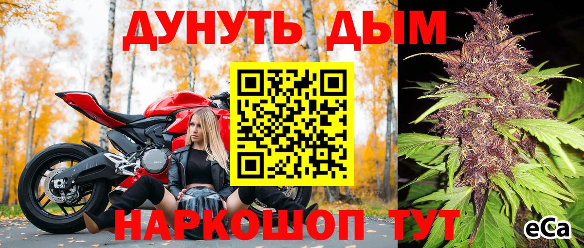 Канабис гибрид Волхов